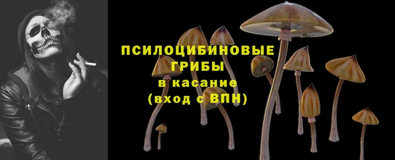 где найти наркотики  Калачинск  Галлюциногенные грибы MAGIC MUSHROOMS 