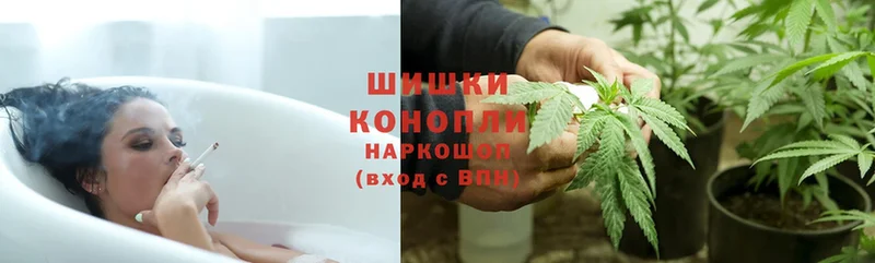 Бошки Шишки SATIVA & INDICA  блэк спрут как войти  Калачинск 